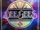 Dee Gees Foo Fighters - Hail Satin (2021 RSD Exclusive Vinyl)