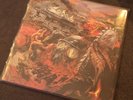 SODOM 