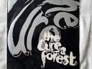Rare Vinyl 7” France -  The Cure ‎– A Forest / In between days