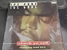 ICE CUBE “CHECK YO SELF” VINTAGE 1993 Record