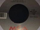 lee ann womack MCA Nashville 45rpm I Hope You Dance 45rpm