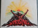 Vinyle - Bob Marley And The Wailers 