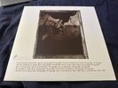 Pixies LP Surfer Rosa Vinyl Original UK 1988 NM