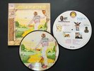 ELTON JOHN -Goodbye Yellow brick Road- Rare Picture Disc Double LP /Vinyl Record