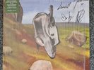 ENGLISH TEACHER - THIS COULD BE TEXAS - *Signed* - Green Vinyl