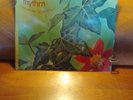 Shades Of Rhythm – Sound Of Eden / Sweet Sensation 12