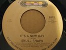 Skull Snaps- My Hang Up Is On You. Original Pressing Northern Soul.