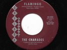 THE CHARADES 45RPM '64 SKYLARK FLAMINGO KILLER TEEN DOO WOP VERSION M- VINYL