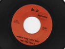 GARAGE PUNK ROCKER 45 - VESTELLS - WON'T YOU TELL ME ?  - HEAR  1967  PA.  BO JO