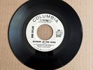 Rare BOB DYLAN Blowin' In The Wind / Don't Think Twice Promo Radio Station 45rpm