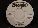 THE GOLLIWOGS FIGHT FIRE 45 7