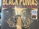 BLACK PUMAS CHRONICLES OF A DIAMOND Vinyl Record LP CZECH REPUBLIC Pressing NEW