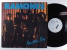RAMONES Animal Boy TORSO LP holland o