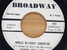 SANDRA PHILLIPS - WORLD WITHOUT SUNSHINE / OKI - SOUL 45 BROADWAY PROMO *HEAR*