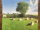 The KLF Chill Out Clear Vinyl LP Reissue - Incredibly Rare - As New, Unopened