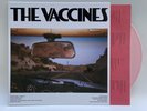 THE VACCINES PICK UP FULL OF PINK CARNATIONS' Baby Pink VINYL SIGNED