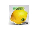 Fools Garden - Lemon Tree (RSD24 EX) - Picture Disc - RSD 2024