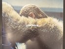 BEYONCE LEMONADE VINYL LIMITED YELLOW LP NM-/NM-