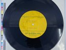 Harry Warren Pacific Ocean Park 10” Gold Star Acetate Record 33 1/3 RPM RARE