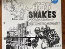 Hot Snakes - Automatic Midnight  - Drive Like Jehu Rick Froberg Swami Subpop