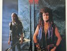 McAuley Schenker Group MSG 