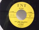 The Rubies,TNT 101,