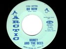 NORTHERN SOUL-HONEY/BEES- GO NOW/WHY DO YOU HURT THE ONE WHO LOVES YOU-ARCTIC