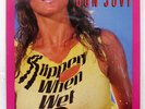 BON JOVI SLIPPERY WHEN WET MERCURY 28PP1025 JAPAN VINYL LP