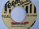 BONGO HERMAN + JAH LLOYD African Drums TEEM Roots Reggae 7