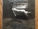 Bill Evans Jim Hall Undercurrent Silver Label Lp Mobile Fidelity MFSL MOFI