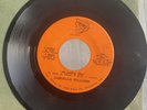 Samuella Williams - I'm Tired Of Stealing Your Love / Ah-JunKie Man