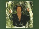 WIPER, Randy - I'd Like To Know (reissue) - Vinyl (12