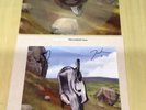 ENGLISH TEACHER-LP THIS COULD BE TEXAS MILKY WHITE VINYL LP+FULLY SIGNED PRINT-M