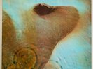 Pink Floyd MEDDLE (UK Pressing) HARVEST  SHVL 795   A-7  155  HTM (Near Mint)