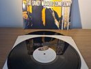 The Dandy Warhols - Come Down Double LP Vinyl 1997 TIM/ KERR RECORDS