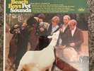 The Beach Boys - Per Sounds Mono LP Analogue Productions 33 RPM NM Condition