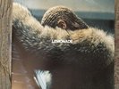 BEYONCE LEMONADE 2017 180 GRAM YELLOW VINYL 2-LP w/INNER SLEEVES INSERT HOLD UP