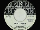 Garage Psych 45 - Waphphle - Goin' Down/I Want You - Elektra