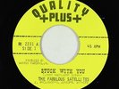 Garage Lounge 45 - Fabulous Satellites - Stuck With You - Quality+ VG++ obscure