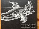 Thrice   Image of the Invisible Limited White Promo Vinyl 7