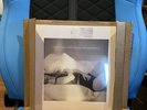 SIGNED - Taylor Swift The Tortured Poets Dept - Vinyl +The Manuscript - IN HAND