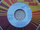 Elvis Presley - Little Sister / Paraylzed -  USA RARE BLUE PROMO 45 - JB 13547