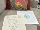 Meat Puppets 2 First Press Vinyl 1983 1984 SST EX/EX
