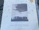 Soft boys - two halves for the price of one LP - VG+/VG+