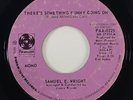 Samuel E Wright 