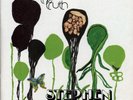 Stephen Malkmus Face The Truth Records & LPs New