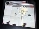 DAUGHTER Stereo Mind Game Limited Eco Coloured LP + SIGNED PRINT