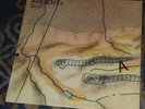 AMBIENT #4 ON LAND / BRIAN ENO 1982 EDITIONS EG LP EGED 20