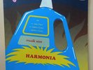 Harmonia  avec Rother, Moebus, Roedeluis