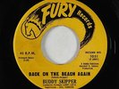 R&B Rocker 45 - Buddy Skipper - Back On The Beach Again - Fury - VG++